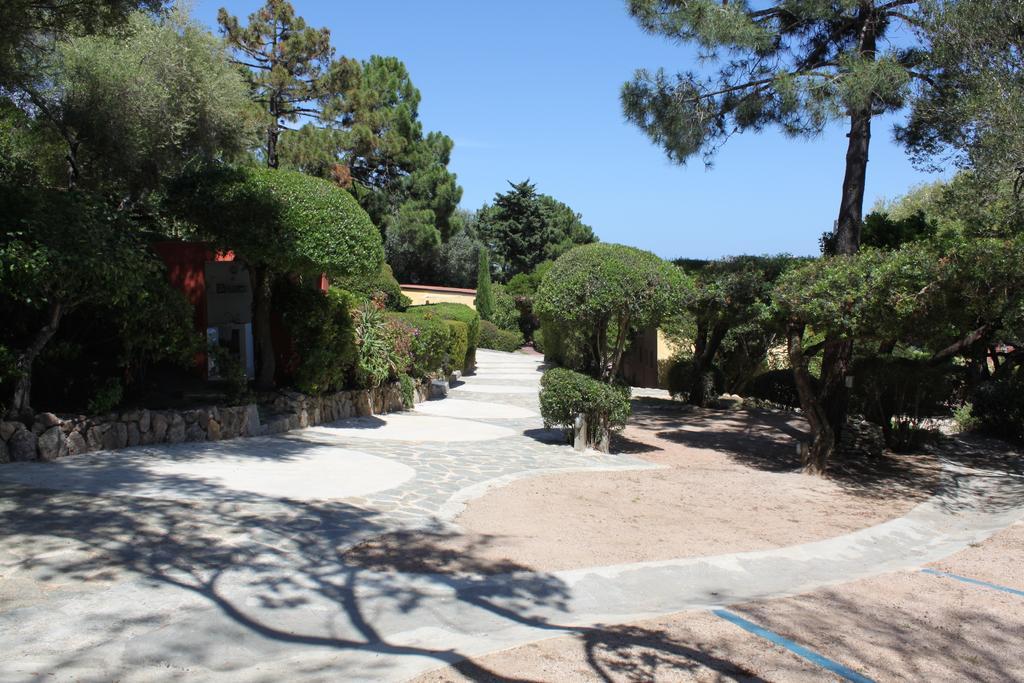 Holiday park Les De Figha Tarcu